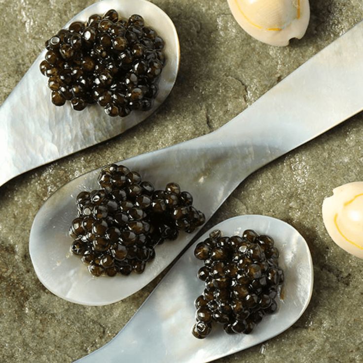 The "Caviar Diet" - Everything You Need to Know About This Extraordinary Superfood